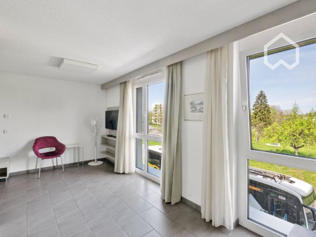 Furnished Modern Studio Apartment With Kitchen, Stuttgart Amsterdam Apartments for Rent
