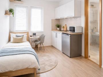 Furnished Micro Studio 18 m² ALL IN for 369 euro | private kitchen & bathroom | 6–24 months | Leipzig Mölkau, Leipzig Amsterdam Apartments for Rent