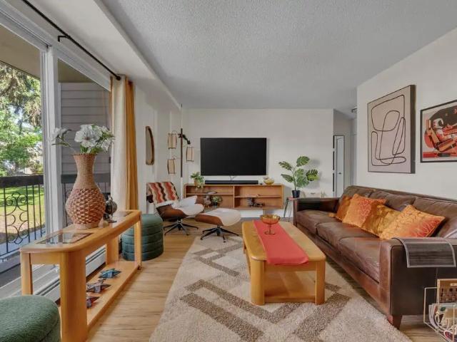 Furnished Mid Century Modern Fully Renovated — 2 Bedrooms Condo Unit