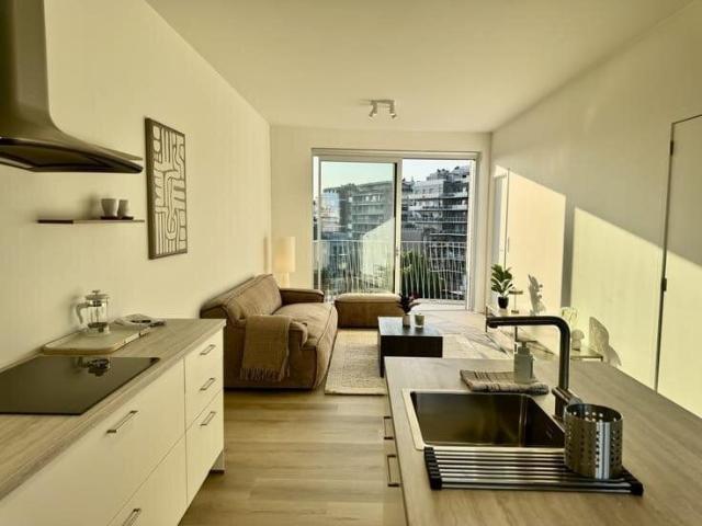 Furnished new build penthouse, 2 terraces, prime location