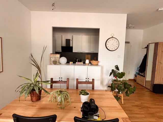 Furnished, newly built apartment, Leipzig Amsterdam Apartments for Rent