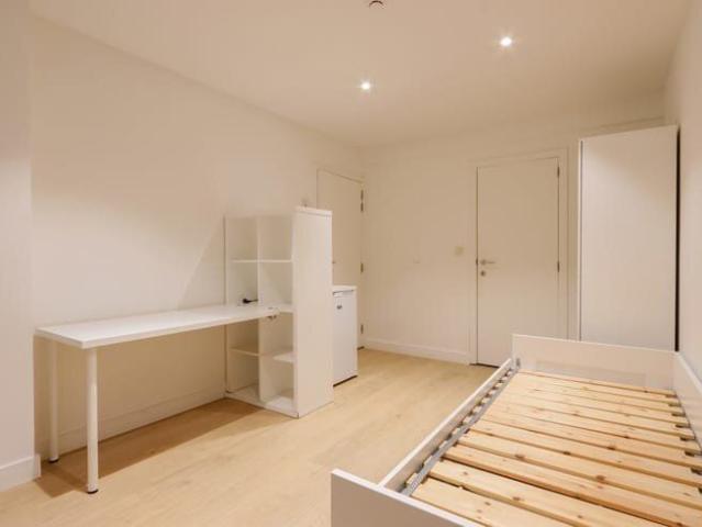 Furnished Student Room with Private Bathroom in Leuven