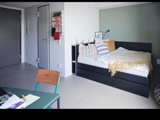 Furnished Studio Apartment in Frankfurt – 6 Nov to 6 Dec