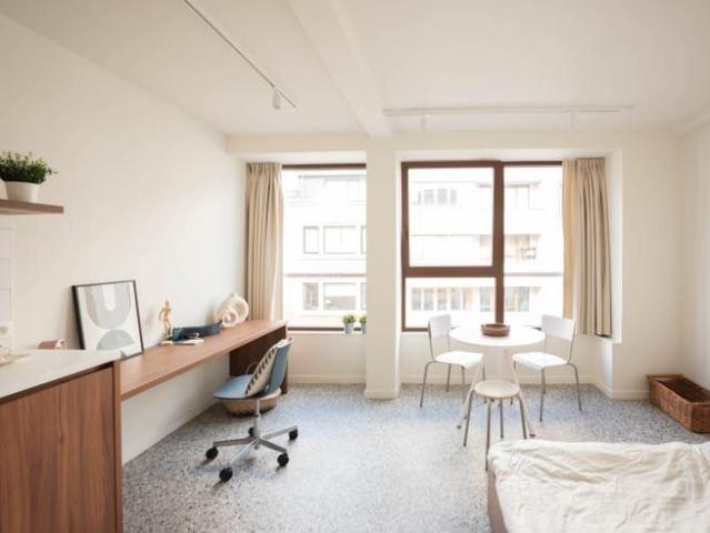 Furnished studio for students Bondgenotenlaan