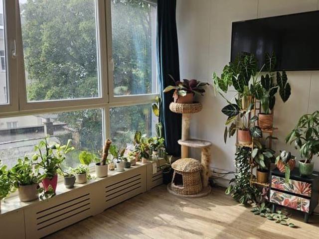 Furnished studio in Saint Gilles with lots of light