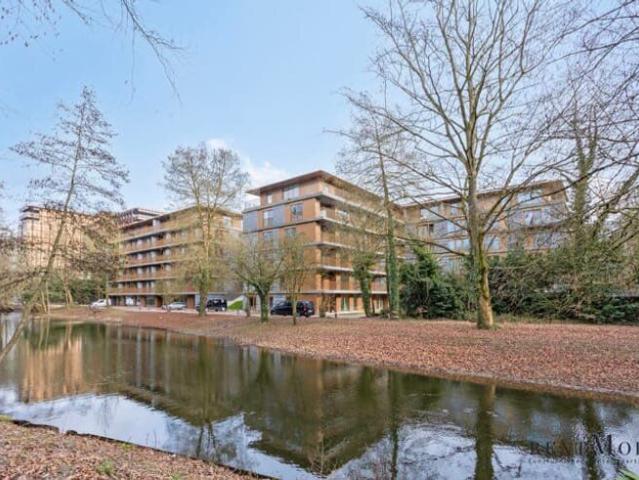Furnished studios and apartments for rent in Auderghem