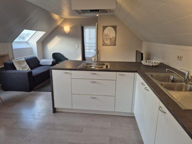 Furnished penthouse in a central location
