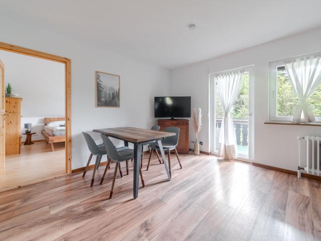 Furnished Temporary Living in the Black Forest – quiet 120 sqm accommodation with 4 private living areas: ideal for Remote Work & Project Stays