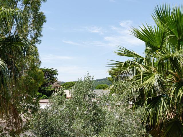 FÜTTERER PROPERTY: EN EXCLUSIVITÉ Grazel Appartement 1 pi