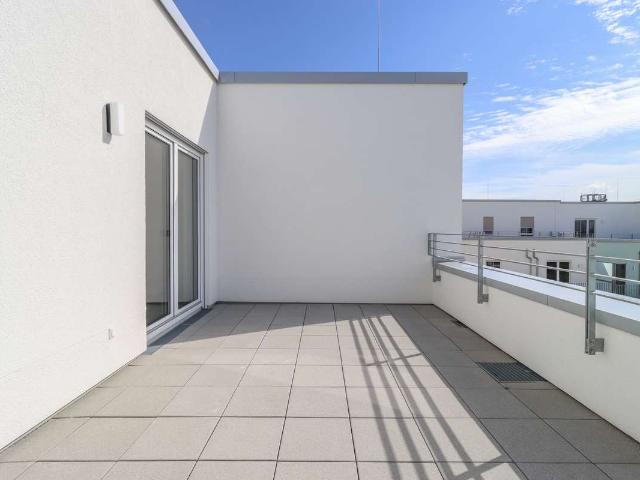 Ganz oben: 4 Zimmer mit Dachterrasse und zwei Bädern
