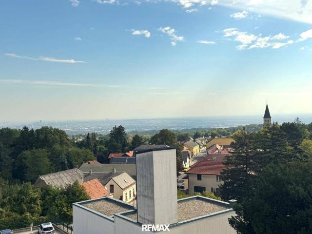 Ganz Wien im Blick, vom Gießhübl!