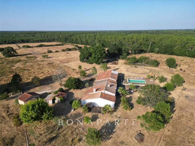 Gaillan En Médoc: Ancienne Ferme De 10 Hectares À 7 Kms Des. 254m² Gaillan en Médoc