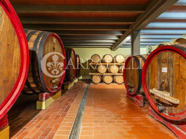 Gaiole in Chianti, colline del Chianti Classico, azienda vit. 850m² Gaiole in Chianti