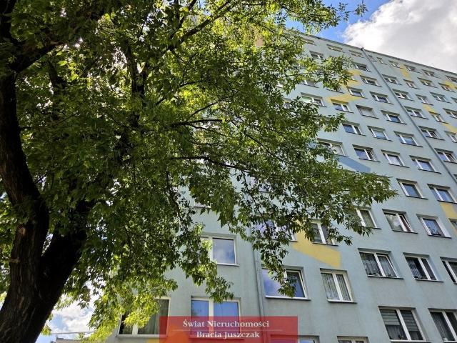 Gaj: 3 rozkładowe pokoje do wynajmu Wrocław