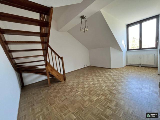 Galeriewohnung am Marburger Kai Besichtigungen AB AUGUST