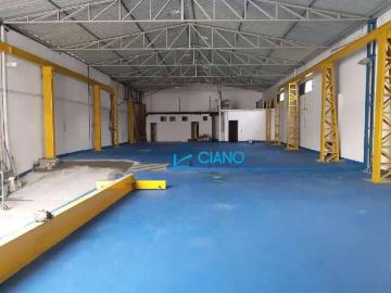 Praça Ary da Rocha, Ipiranga, São Paulo, São Paulo, São Paulo