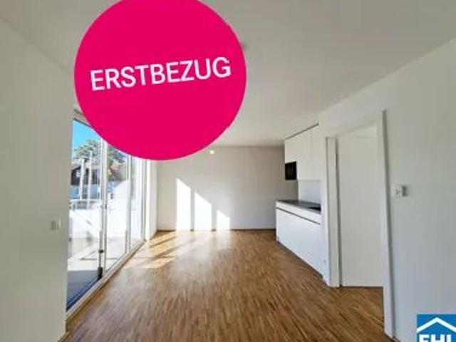 GARTENTRAUM A.D.ZWEI LIVING Modernes Wohnen an der Alten Donau