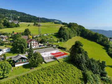 Lochau, Bezirk Bregenz, Vorarlberg - Garten
