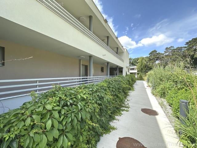 Gartenwohnung in Eisenstadt beim Schlosspark, Garage möglich I befristet