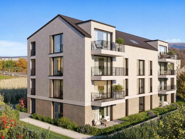 Gartenwohnungen in attraktiver Lage von Killwangen