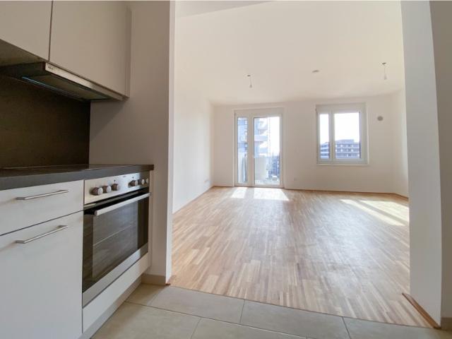 Garconniere mit separater Küche und Balkon in den Reininghausgründen