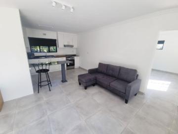Garden cottage to rent in Park Hill