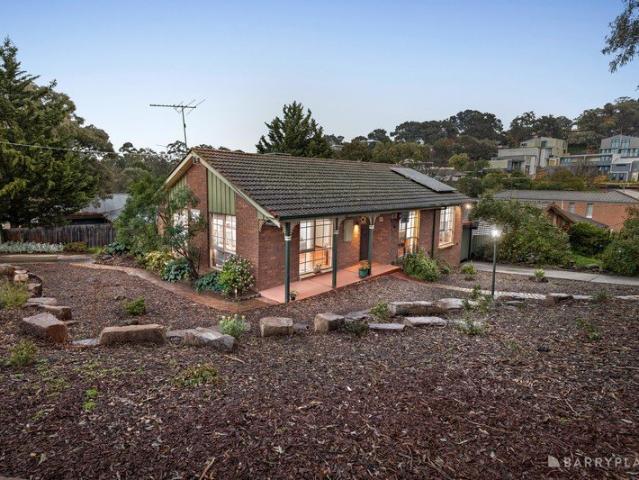 Garden Serenity on a Versatile Corner Allotment