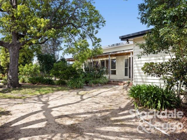 Garden Privacy on a Generous Rosebud Block