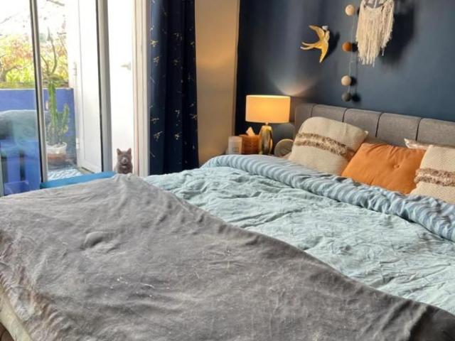 Gardened Standing Rooftop Hyper Center, Toulouse Amsterdam Apartments for Rent