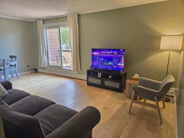 Garneau sunny 2BR Condo, walk to U of A, furnished, quiet, renovated — 2 Bedrooms Condo Unit
