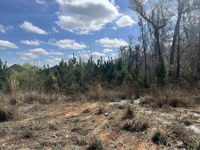 Garrett Ln, Bonaire, Plot For Sale