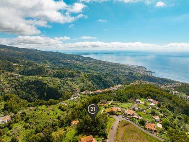 Gaula Madeira 9100 078 LS105546767
