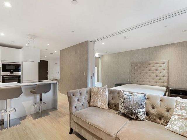 Gaumont Place, SW2 Studio to rent £1,600 pcm £369 pw