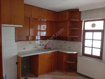 Doğan Sokak, Zafer Mahallesi, Zafer Mahallesi, İlkadım, Samsun, Samsun ili, Karadeniz Bölgesi