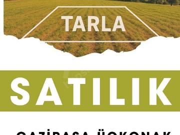 Gazipaşa, Antalya ili, Akdeniz Bölgesi