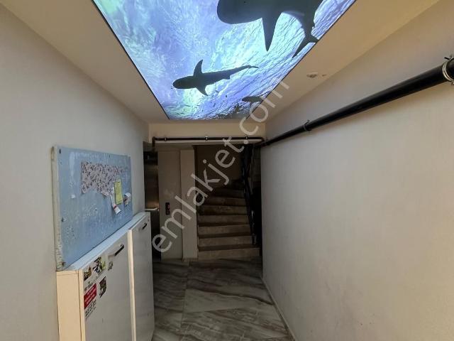 Gaziosmanpaşa Mahallesinde Yüksek Giriş 2+1 Açık Mutfak Kiralık Daire