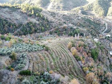 Gazipaşa, Antalya ili, Akdeniz Bölgesi