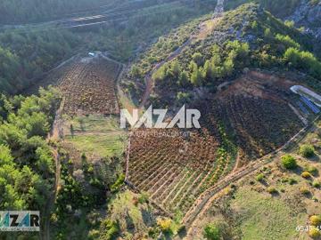 Gazipaşa, Antalya ili, Akdeniz Bölgesi