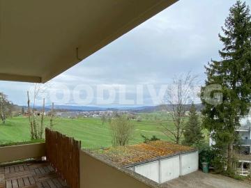 Hallwil, Bezirk Lenzburg, Aargau