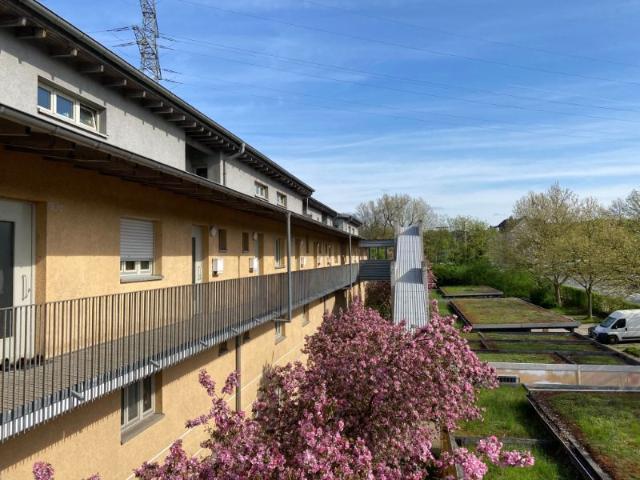 Gemütliche Maisonette Wohnung in Bismarck