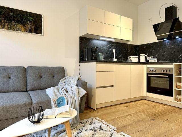Gemütliche, möblierte 2 Raum Wohnung in Leipzig Lindenau