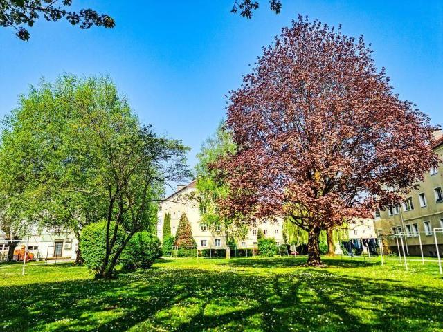 Gemütliche Garçonnière in ruhiger Grünlage