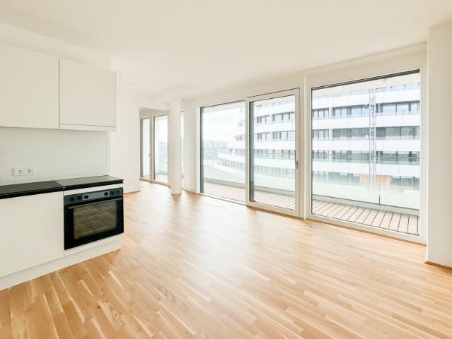 Gemütliche Pärchenwohnung mit großer Freifläche Nähe Alte Donau