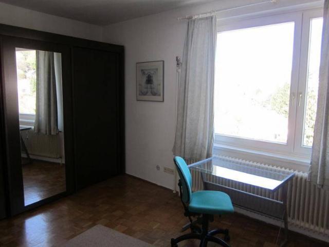 Gemütliche Stadtwohnung in attraktiver Lage, Graz Geidorf