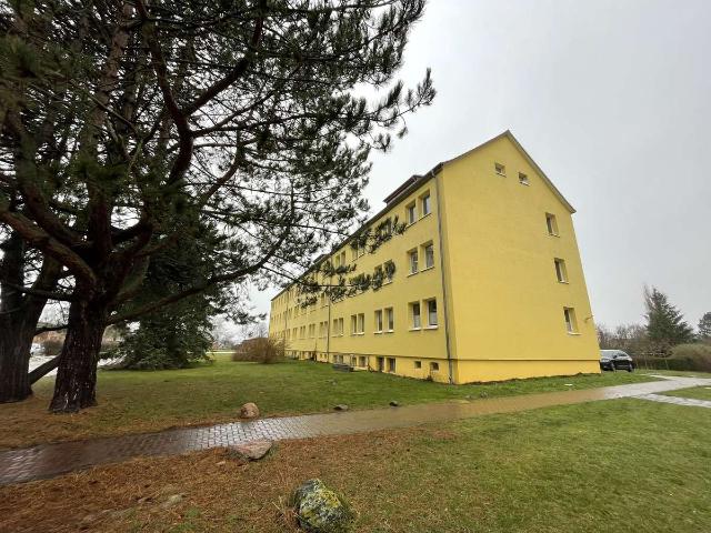 gemütliche sanierte 2 Zimmer Wohnung im schönen Trent