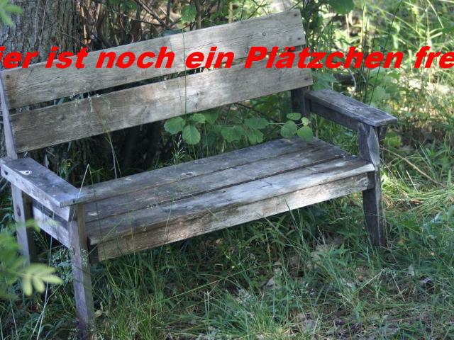 Gemütliche Singlewohnung im Zentrum
