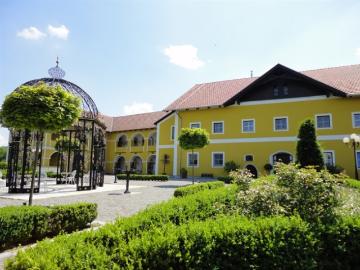 Gemütliche Terrassen Wohnung am Land