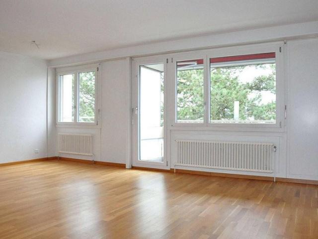 gemütliche und sonnige 3 Zimmerwohnung