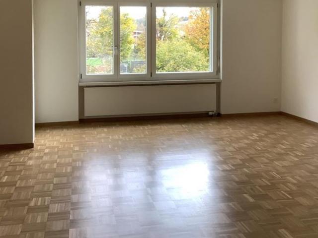 gemütliche Wohnung an der Sihl