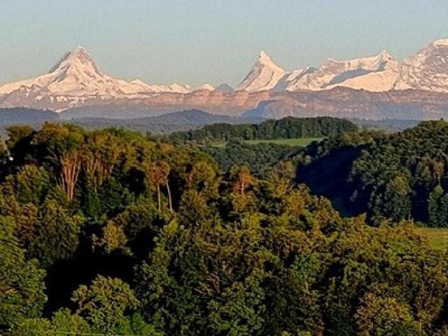 Gemütliche Wohnung in erhöhter Lage mit Panoramablick
